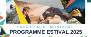 Programme Estival 2025 