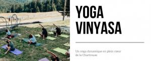 Yoga vinyasa 