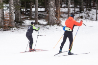 Ski nordique cours privés