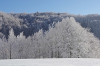 A perdre le nord