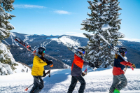 Cours de ski alpin