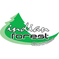 Indian Forest Chartreuse
